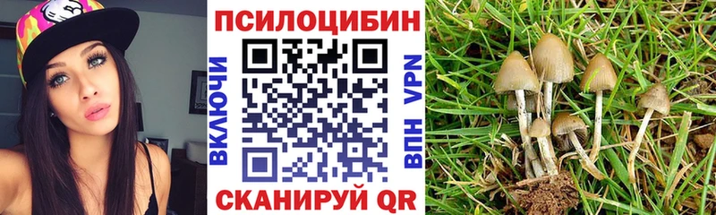 Галлюциногенные грибы Cubensis  как найти закладки  Кинешма 